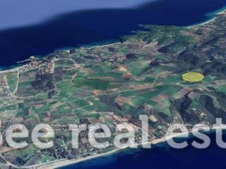 Άποψη εξωτερικού χώρου