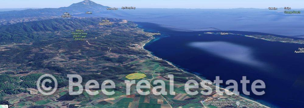 Άποψη εξωτερικού χώρου