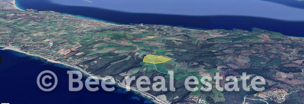 Άποψη εξωτερικού χώρου