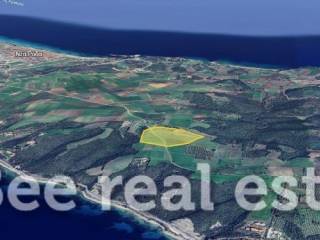 Άποψη εξωτερικού χώρου