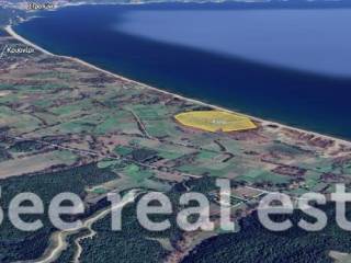 Άποψη εξωτερικού χώρου