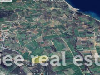 Άποψη εξωτερικού χώρου