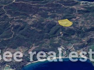 Άποψη εξωτερικού χώρου