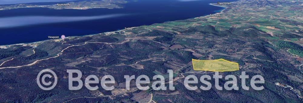 Άποψη εξωτερικού χώρου