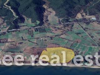 Άποψη εξωτερικού χώρου