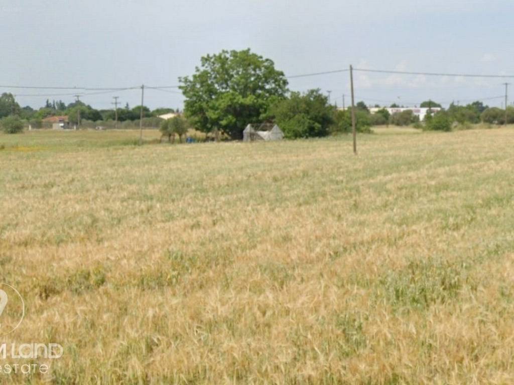 Forumland Real Estate, αγροτεμάχιο