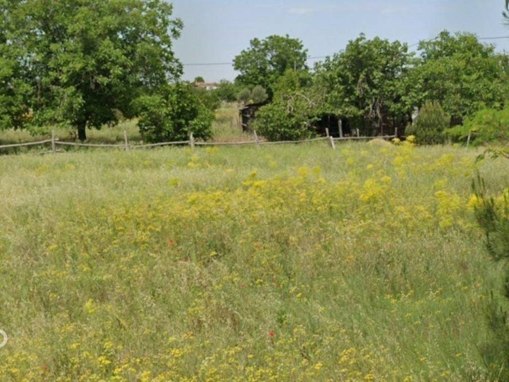 Forumland Real Estate, αγροτεμάχιο