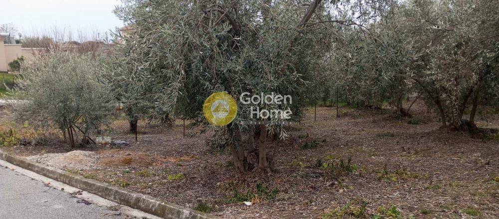 Κυρίως Χώρος