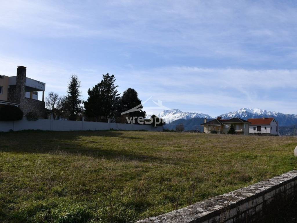 ΑΠΟΨΗ ΟΙΚΟΠΕΔΟΥ