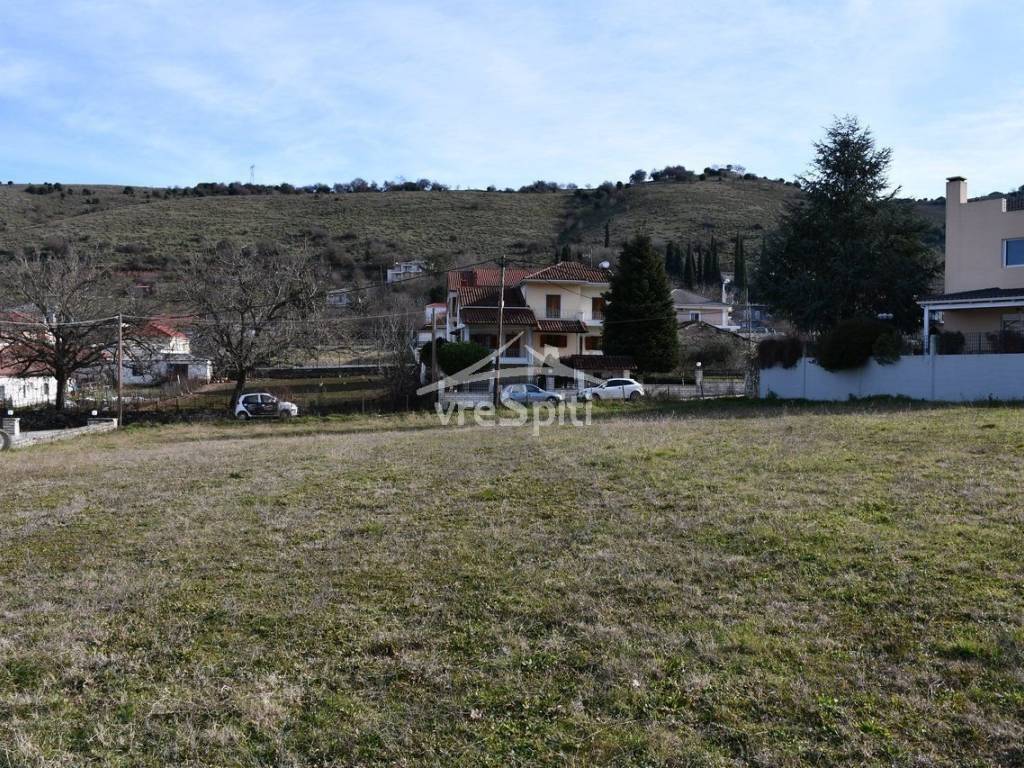 ΑΠΟΨΗ ΟΙΚΟΠΕΔΟΥ