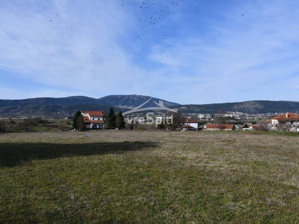 ΑΠΟΨΗ ΟΙΚΟΠΕΔΟΥ