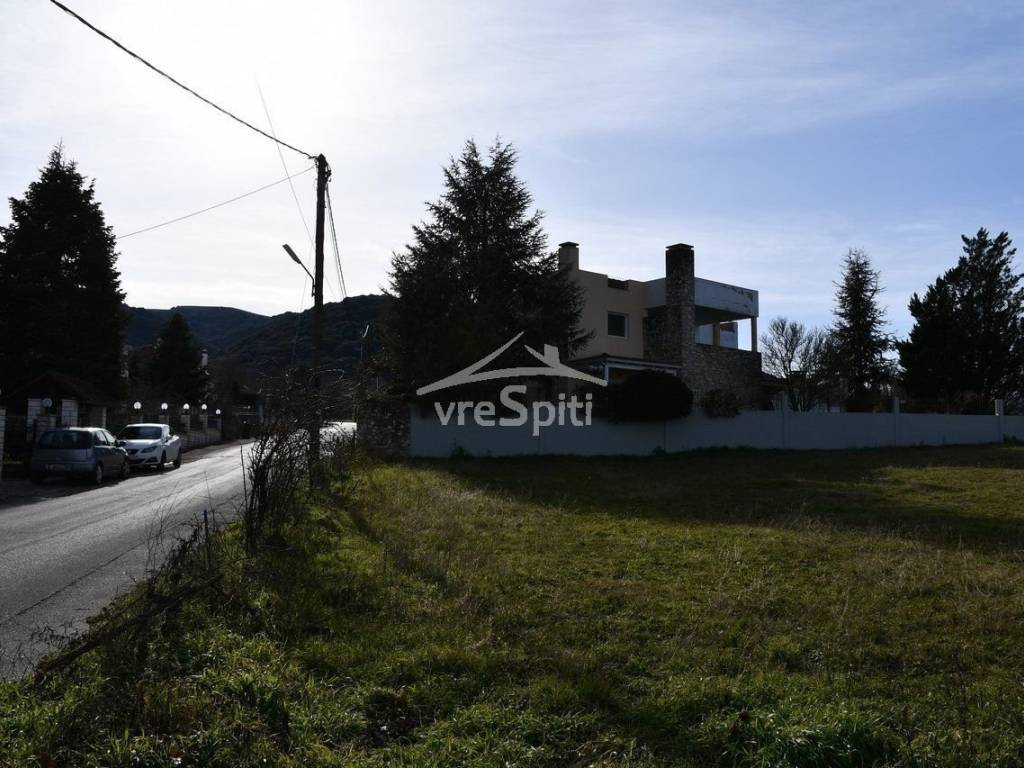 ΑΠΟΨΗ ΟΙΚΟΠΕΔΟΥ