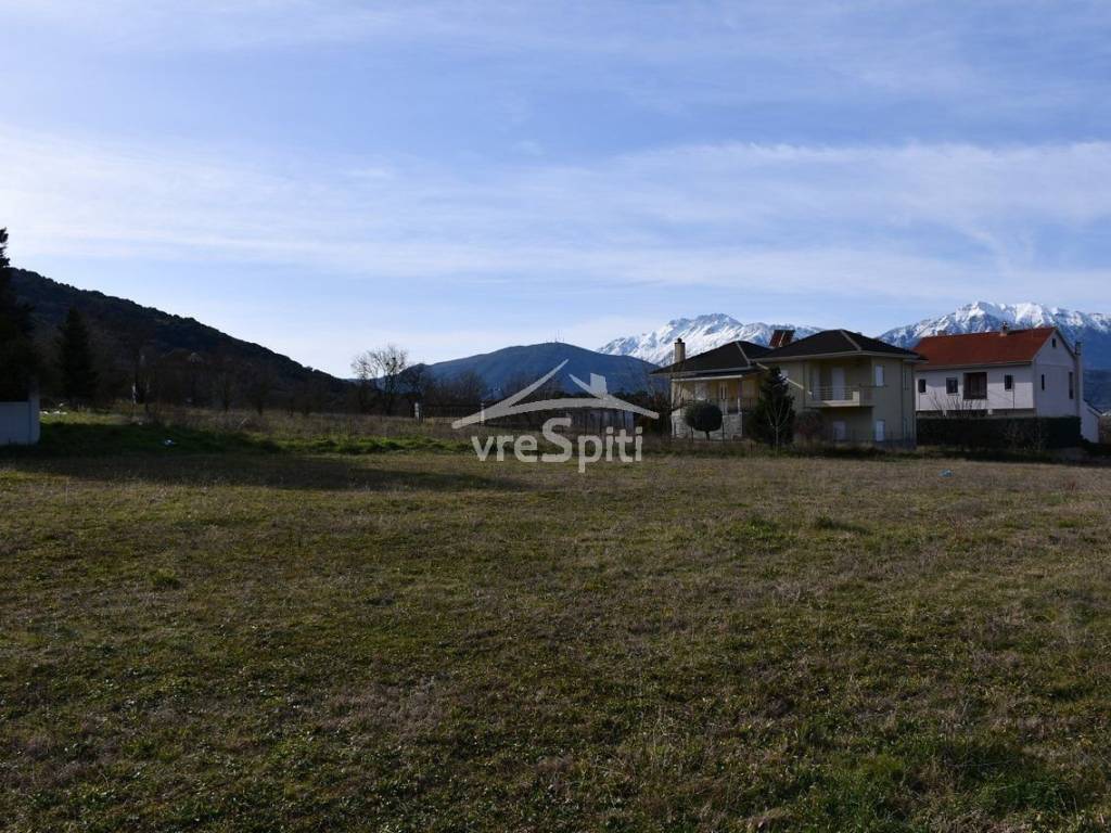 ΑΠΟΨΗ ΟΙΚΟΠΕΔΟΥ