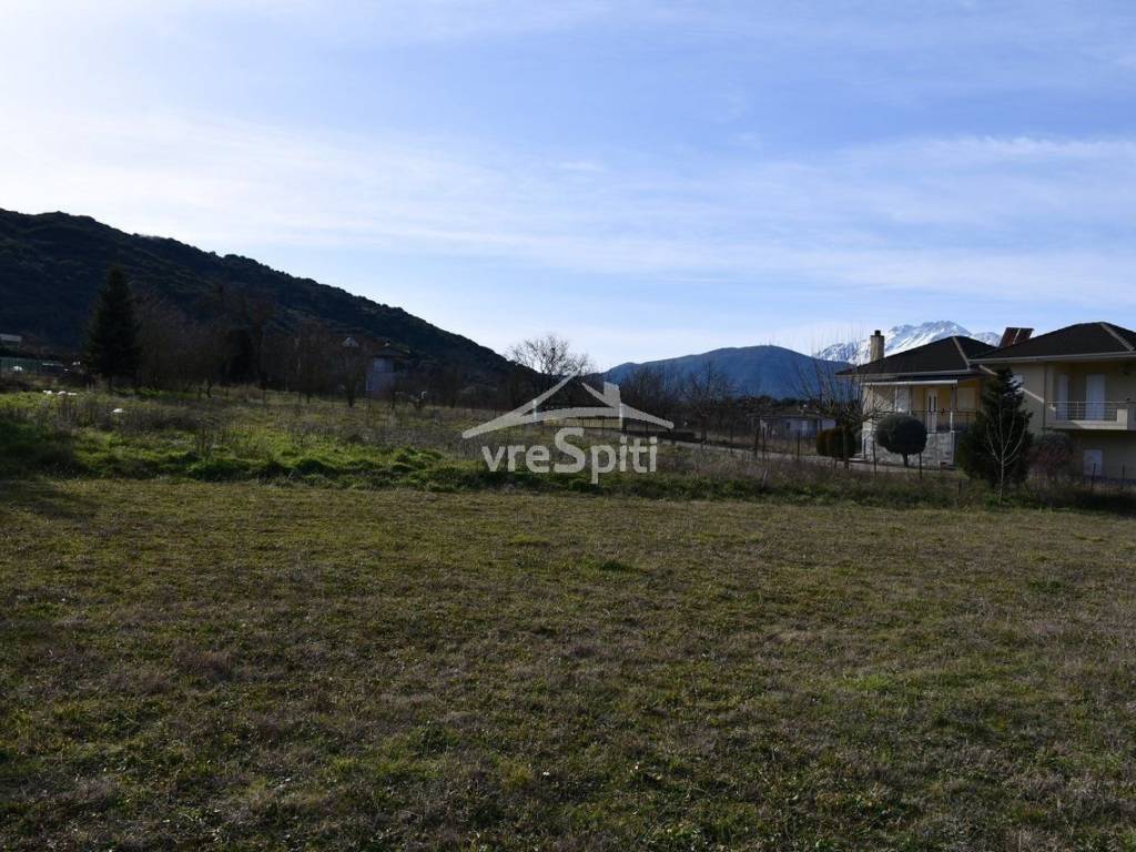 ΑΠΟΨΗ ΟΙΚΟΠΕΔΟΥ