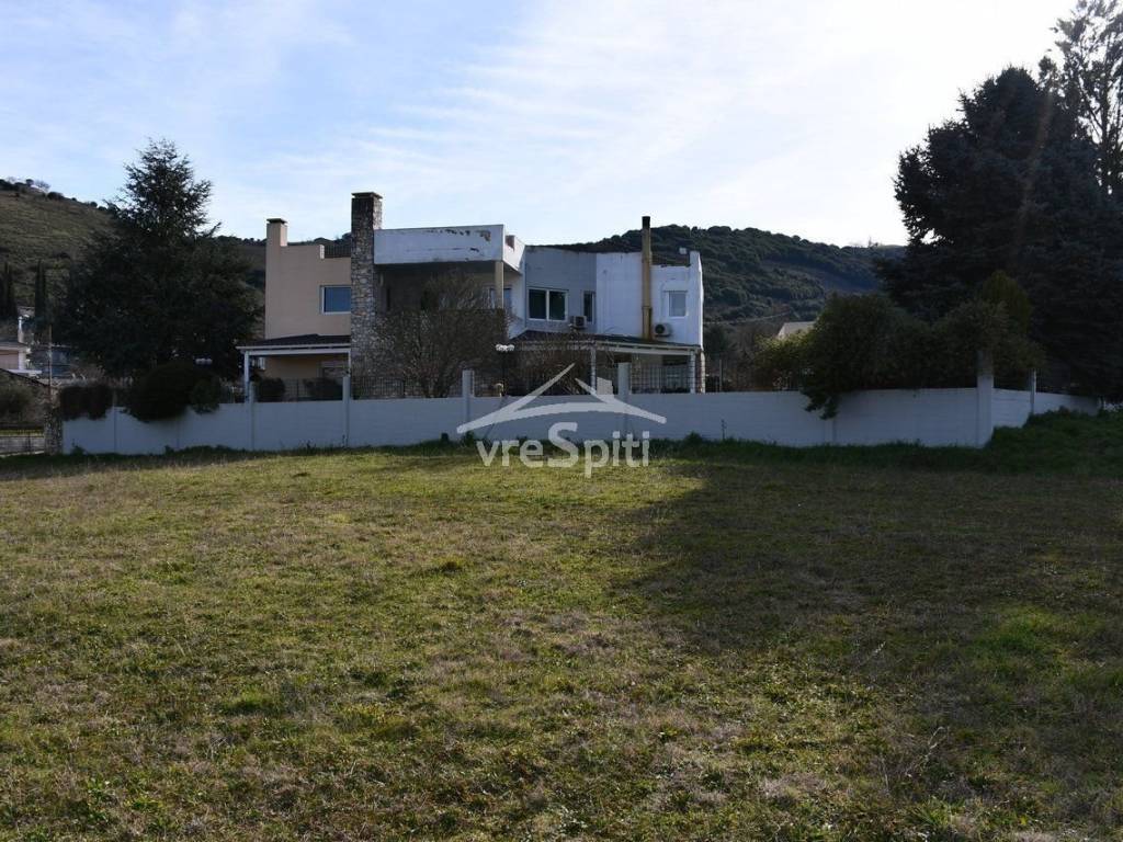 ΑΠΟΨΗ ΟΙΚΟΠΕΔΟΥ