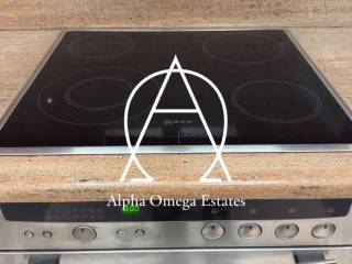 eponyme elektrike koyzina