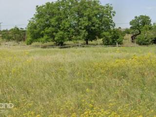 Forumland Real Estate, Αγροτεμάχιο 2.500τ.μ.