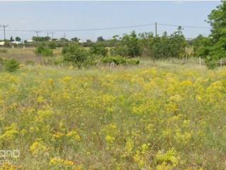 Forumland Real Estate, Αγροτεμάχιο 2.500τ.μ.