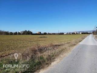 Forumland Real Estate, Αγροτεμάχιο 2.500τ.μ.