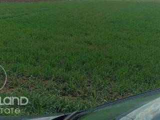 Forumland Real Estate, Αγροτεμάχιο 2.500τ.μ.