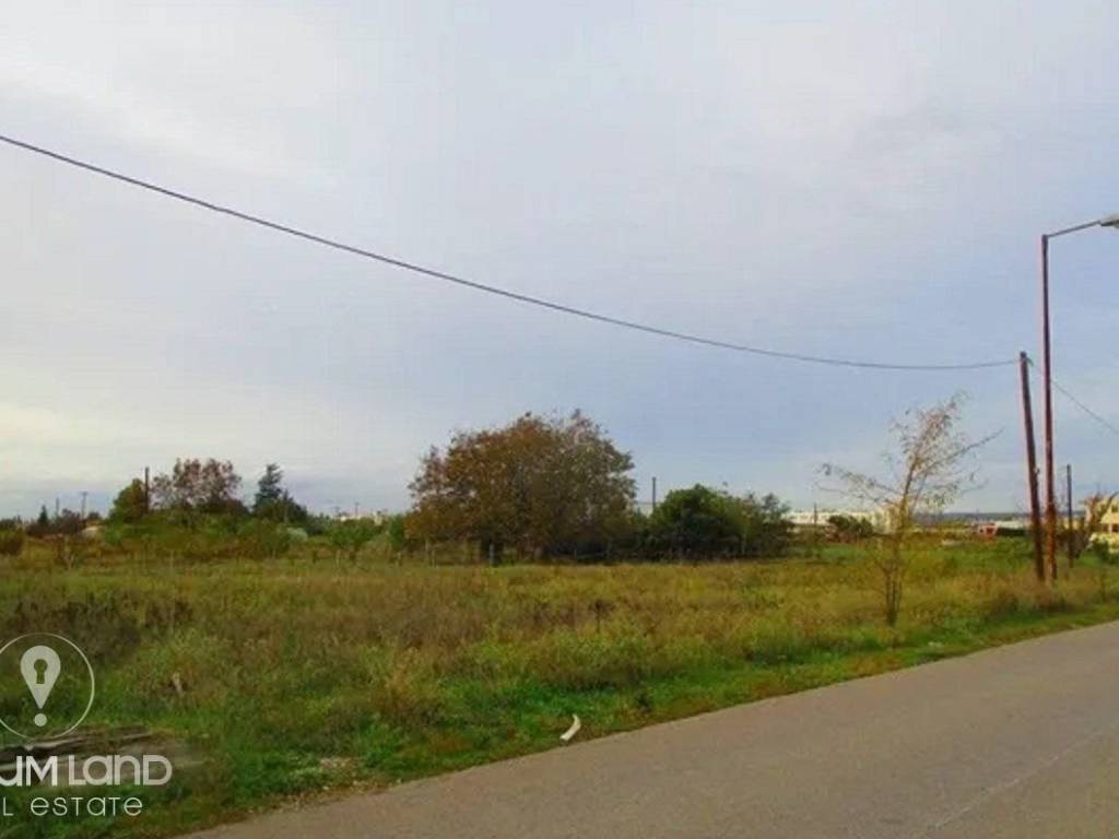 Forumland Real Estate, Αγροτεμάχιο 2.500τ.μ.