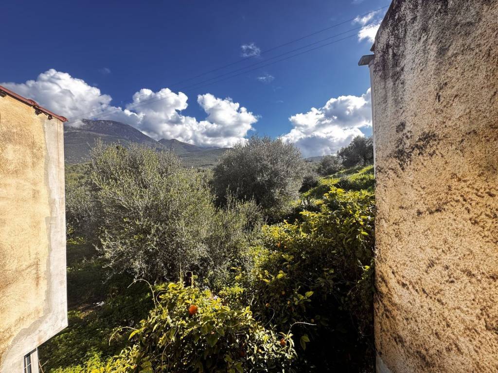 Εξωτερικοι χώροι