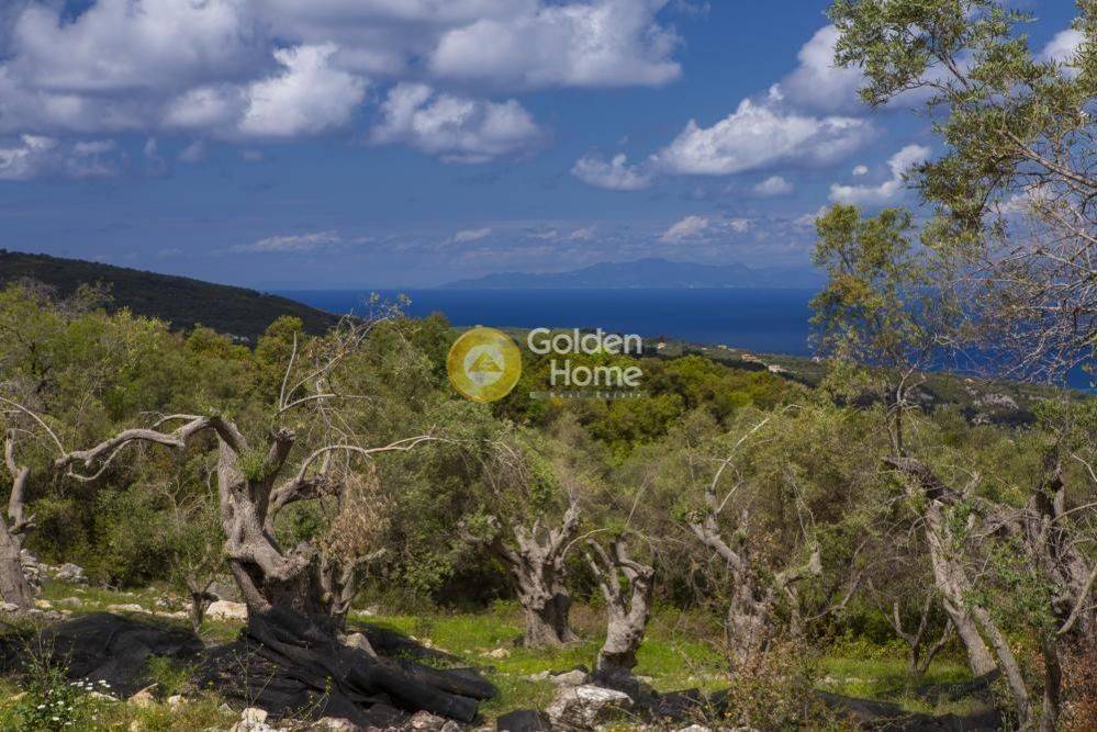 Εξωτερικός Χώρος