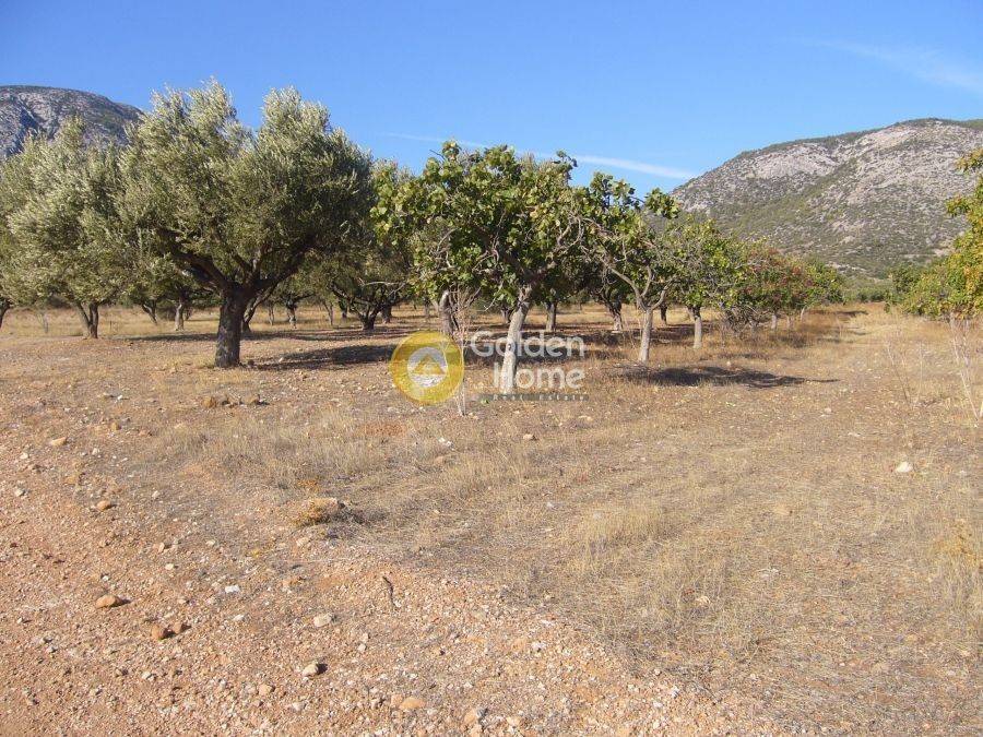 Εξωτερικός Χώρος