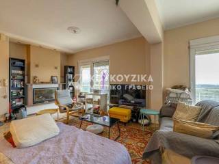 Σαλοκουζίνα