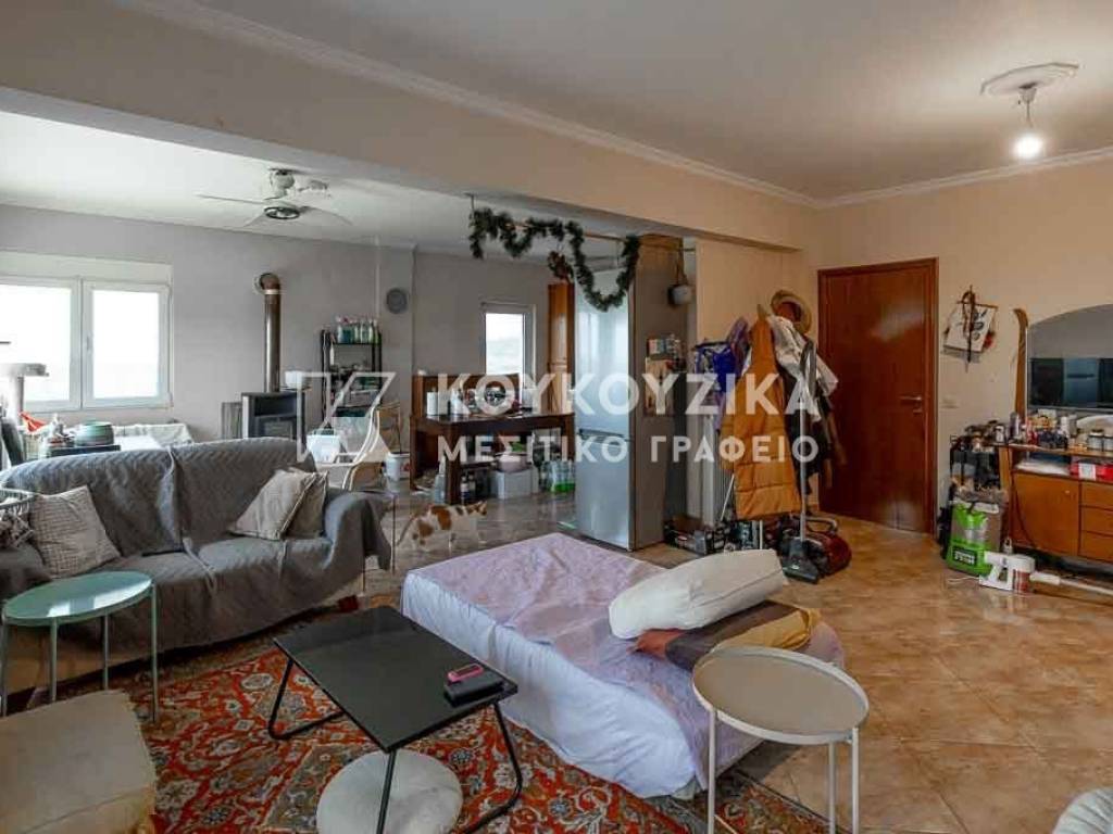 Σαλοκουζίνα