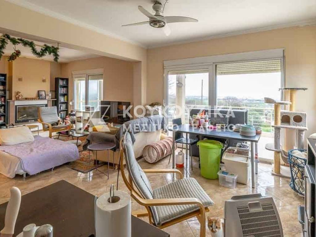 Σαλοκουζίνα