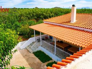 Εξωτερικοι χώροι