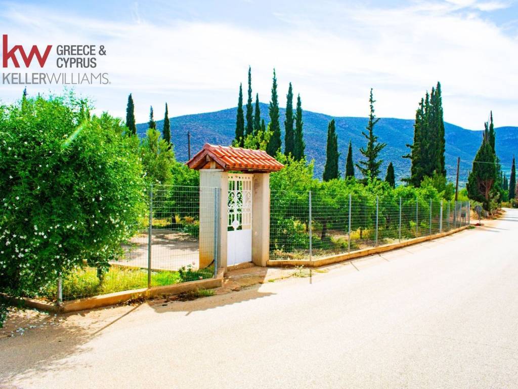 Εξωτερικοι χώροι