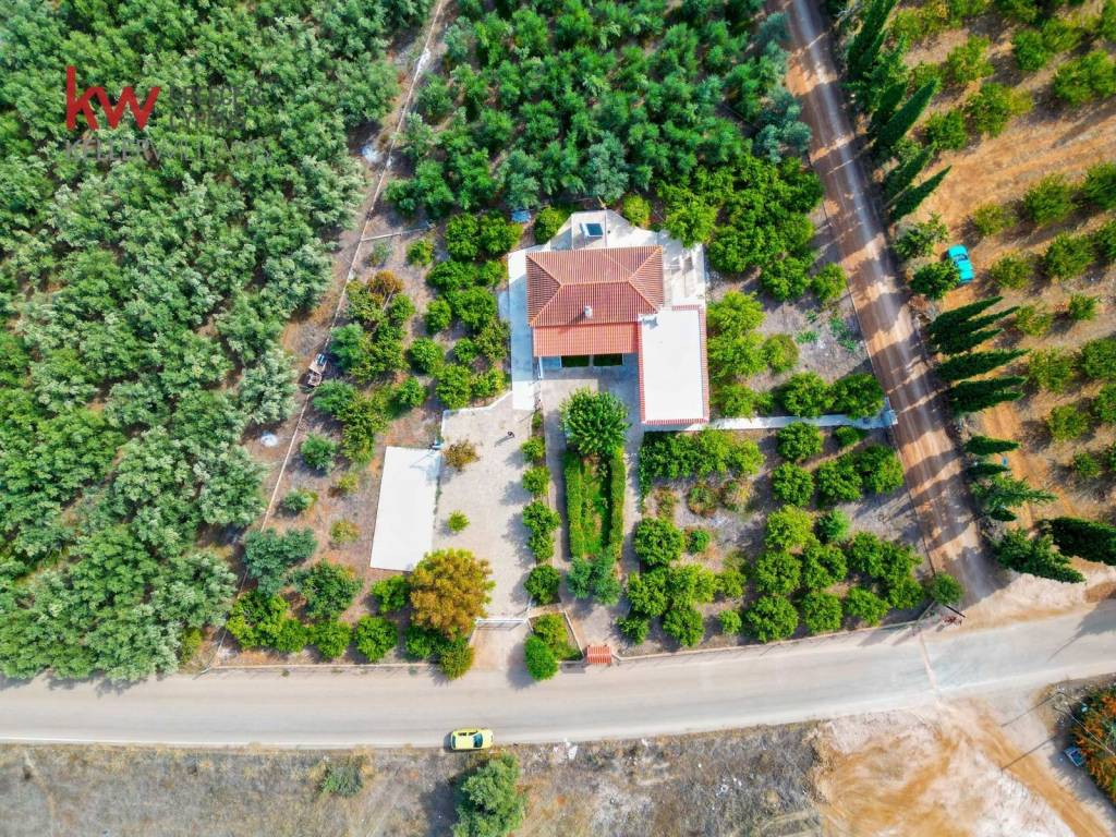 Εξωτερικοι χώροι