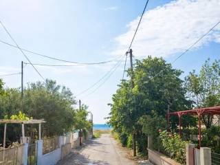 AMESE PROSBASE STE THALASSA