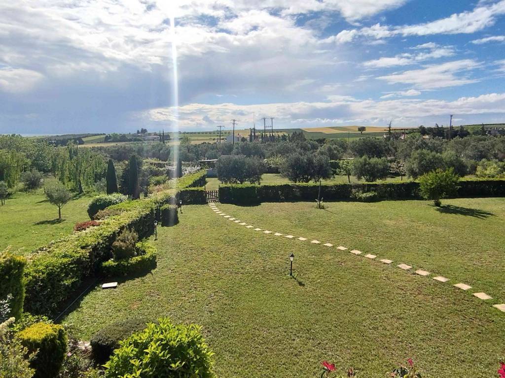 η πίσω αυλή