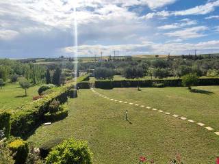 η πίσω αυλή