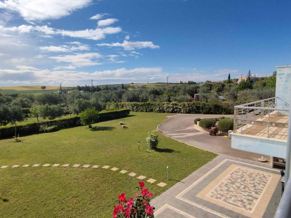 η πίσω αυλή