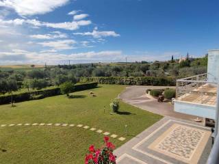 η πίσω αυλή