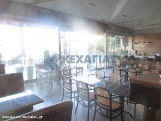 ΕΣΩΤΕΡΙΚΗ ΛΗΨΗ