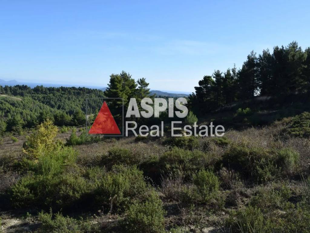 Εξωτερικοι χώροι