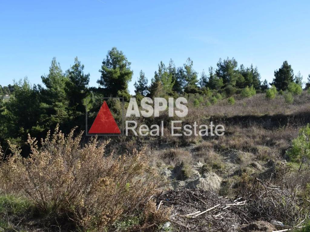 Εξωτερικοι χώροι