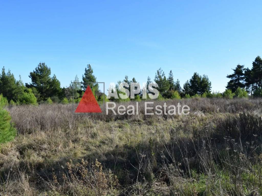 Εξωτερικοι χώροι