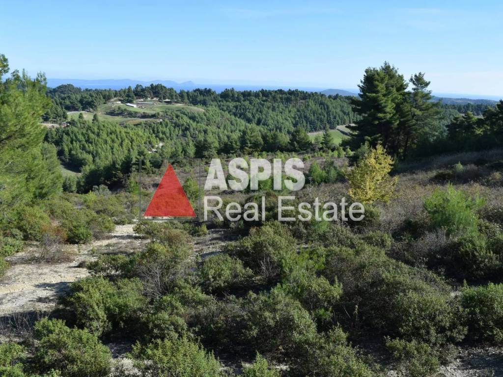 Εξωτερικοι χώροι