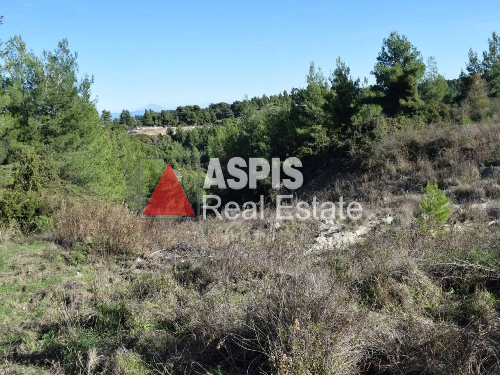 Εξωτερικοι χώροι