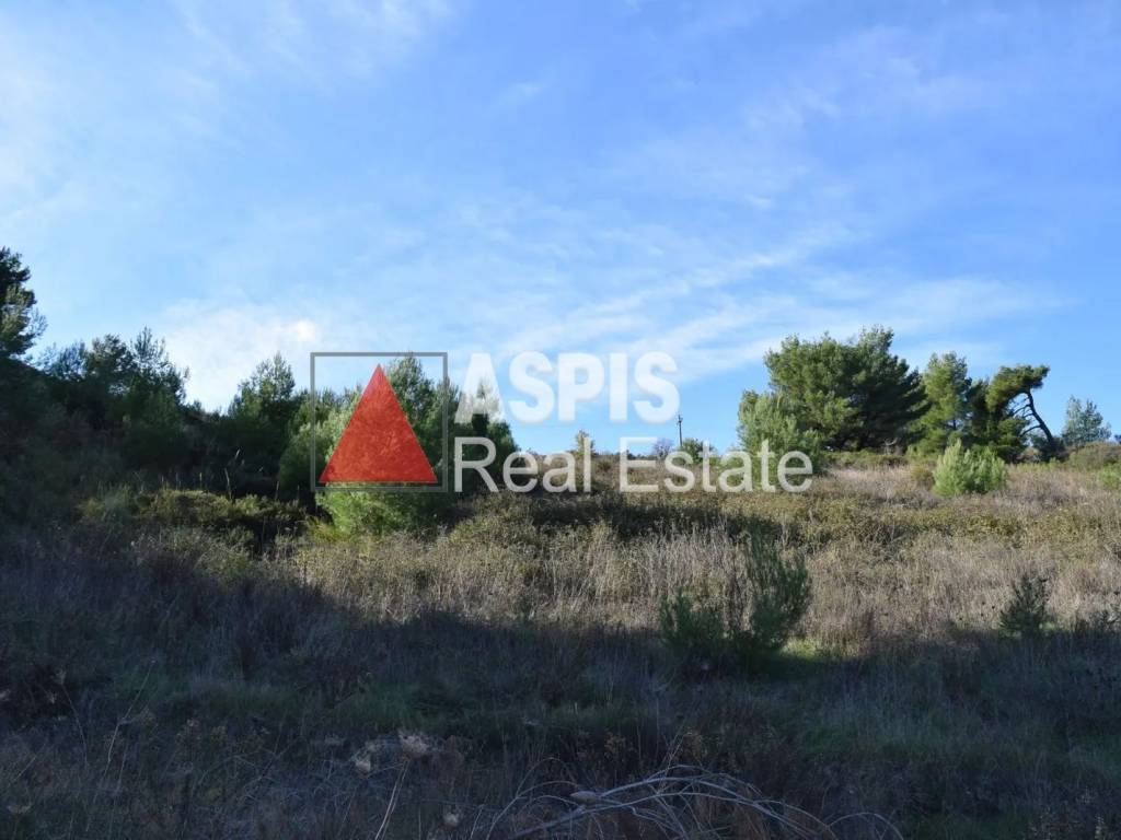 Εξωτερικοι χώροι