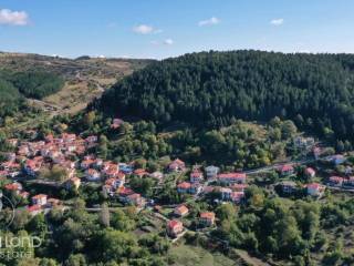 Forumland Real Estate, Πολυνέρι Γρεβενών