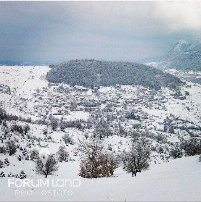 Forumland Real Estate, Πολυνέρι Γρεβενών