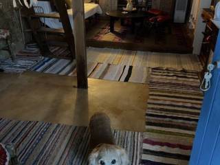 Detached - Grekodom 65541|1050276