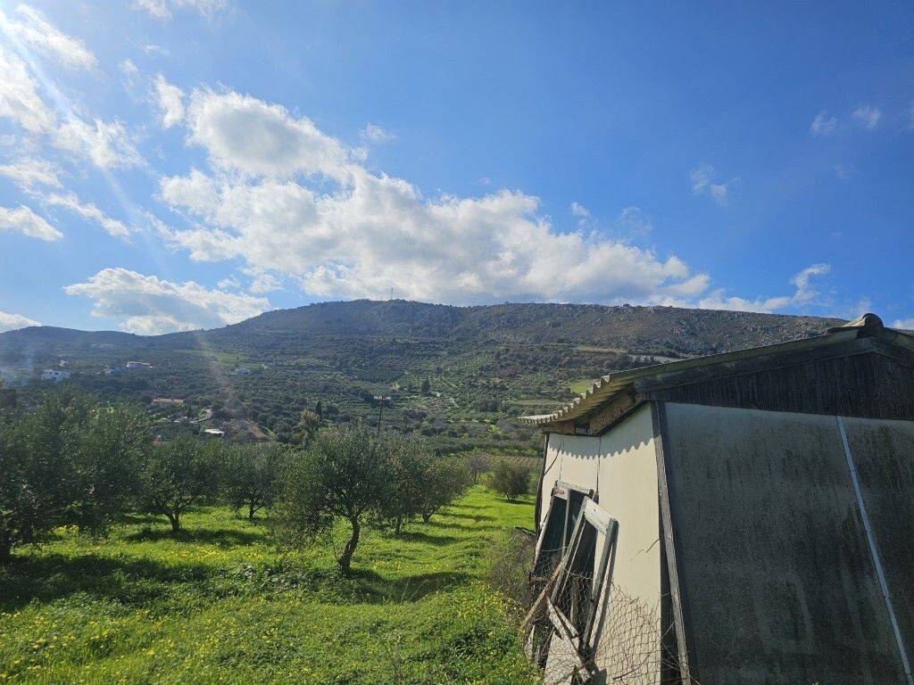 Plot - Grekodom 65413|1046037